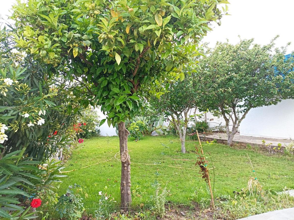 Maison S+1 Tres Bien Equipee A 2Mn De La Plage Kelibia Ngoại thất bức ảnh